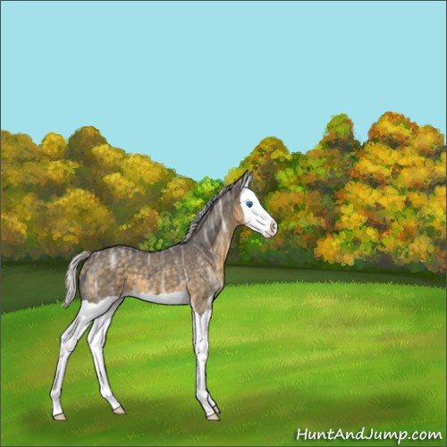 Horse Color:Silver Smoky Black Ice Splash 