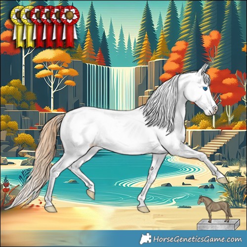 Horse Color:Bay Pearl Dun Splash Appaloosa 