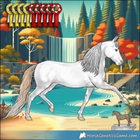 Horse Color:Bay Pearl Dun Splash Appaloosa 