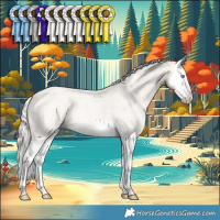 Horse Color:Silver Smoky Creme Ice Roan Splash