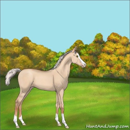 Horse Color:Silver Sable Champagne Dun Splash 