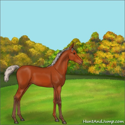Horse Color:Silver Brown 