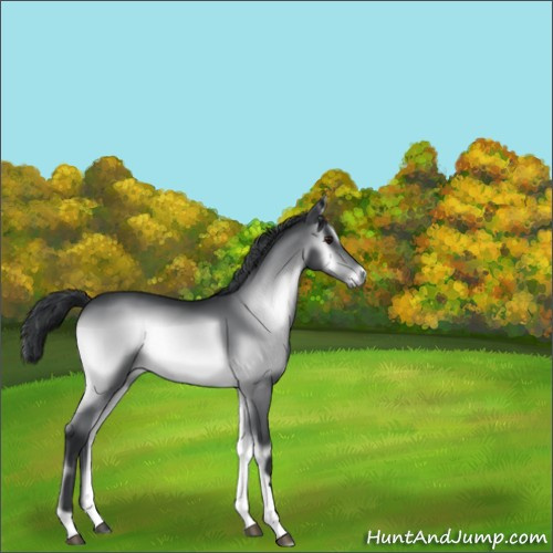 Horse Color:Brown Chinchilla Onyx 