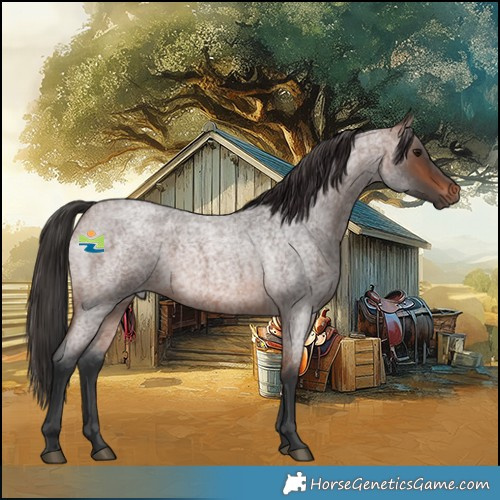 Horse Color:Brown Roan 