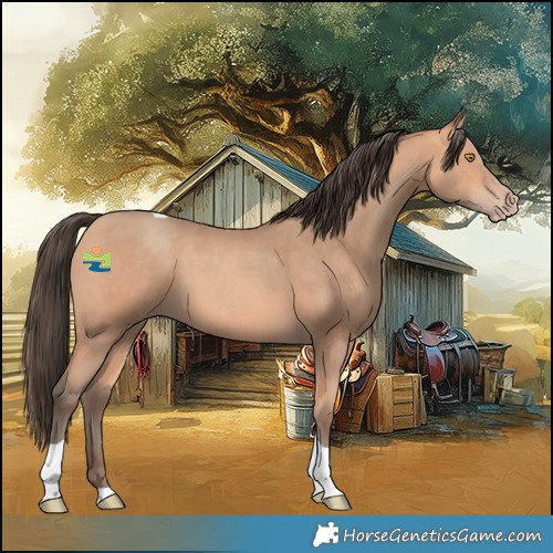 Horse Color:Amber Champagne Tobiano 