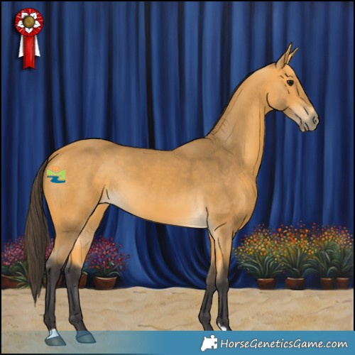 Horse Color:Buckskin 