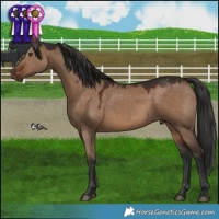 Horse Color:Liver Red Dun 