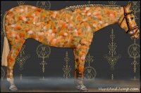 Horse Color:Chestnut and Gray Chestnut