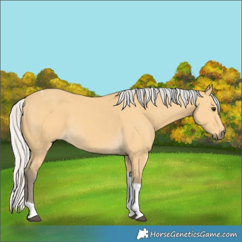 Horse Color:Silver Buckskin Tobiano