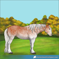Horse Color:White Spotted Silver Bay Splash and White Spotted Silver Bay Splash