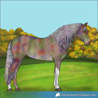 Horse Color:Nacre Silver Black Tobiano 