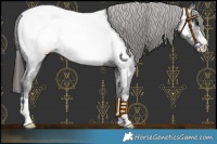 Horse Color:Black Near Fewspot