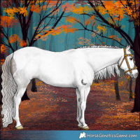 Horse Color:Gray Chestnut Splash Tobiano 