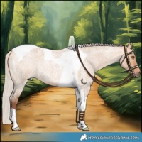 Horse Color:Chocolate Silver Bay Roan Dun Tobiano
