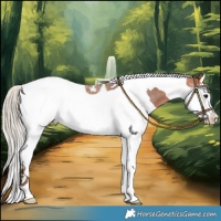 Horse Color:Silver Bay Roan Splash Tobiano