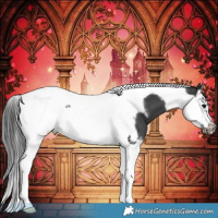 Horse Color:Black Splash Tobiano Frame 