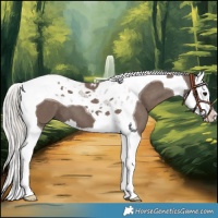 Horse Color:Silver Black Splash Tobiano 