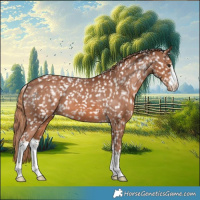 Horse Color:White Spotted Chestnut Snowflake Varnish