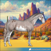 Horse Color:White Spotted Liver Chestnut Varnish 