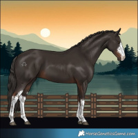 Horse Color:White Spotted Liver Chestnut Rabicano 