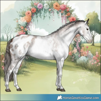 Horse Color:Gray White Spotted Black Pearl Sabino Appaloosa 