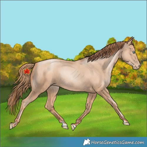 Horse Color:Gold Champagne Pearl Rabicano  and Amber Champagne Pearl Rabicano 