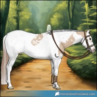 Horse Color:Red Dun Splash Tobiano Frame Rabicano