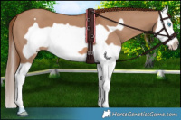 Horse Color:Red Dun Splash Frame