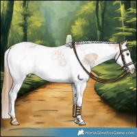 Horse Color:Red Roan Splash Tobiano Rabicano 