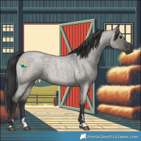 Horse Color:Grullo Roan 