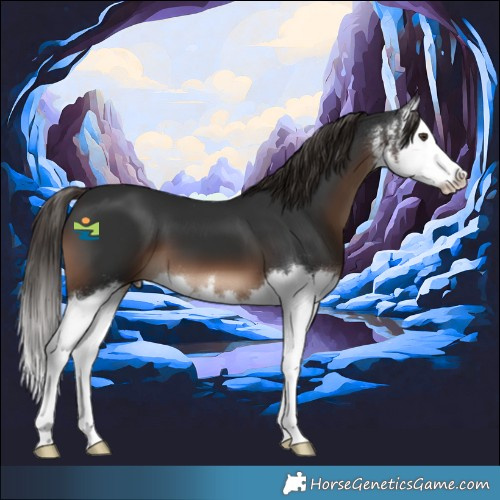 Horse Color:White Spotted Liver Chestnut Splash 