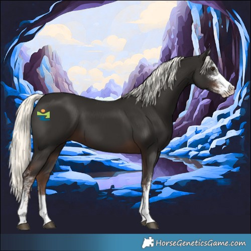 Horse Color:Liver Chestnut Mushroom Sabino 