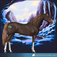 Horse Color:White Spotted Liver Chestnut 