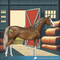 Horse Color:White Spotted Chocolate Palomino Mushroom Splash 