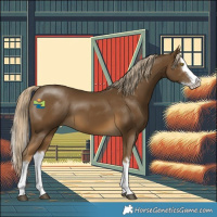 Horse Color:White Spotted Chocolate Palomino Mushroom Splash