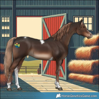 Horse Color:Liver Chestnut Sabino Tobiano 