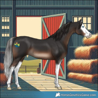 Horse Color:White Spotted Liver Chestnut Splash 