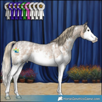 Horse Color:Chocolate Palomino Roan Sabino Splash