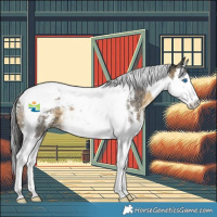 Horse Color:Buckskin Sabino Splash Tobiano 
