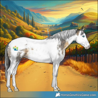 Horse Color:Buckskin Sabino Splash Tobiano