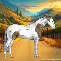 Horse Color:Buckskin Dun Sabino Splash Tobiano 