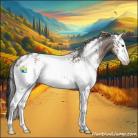 Horse Color:White Spotted Liver Red Dun Sabino Appaloosa Rabicano