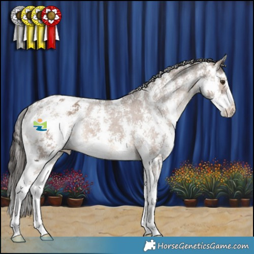 Horse Color:Liver Red Dun Sabino Appaloosa Rabicano 