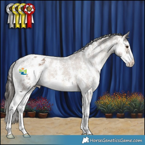 Horse Color:Liver Red Dun Sabino Appaloosa Rabicano 