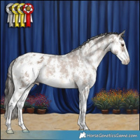 Horse Color:Liver Red Dun Sabino Appaloosa Rabicano 