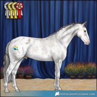 Horse Color:Liver Red Dun Sabino Appaloosa Rabicano 