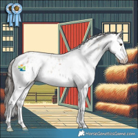 Horse Color:Liver Red Dun Sabino Appaloosa Rabicano