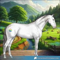 Horse Color:White Spotted Liver Red Dun Sabino Appaloosa Rabicano