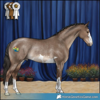 Horse Color:Liver Red Dun Rabicano 