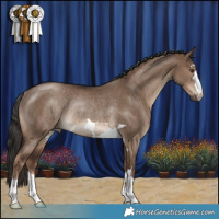 Horse Color:Liver Red Dun Rabicano 